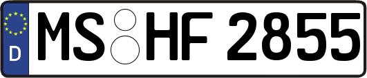 MS-HF2855