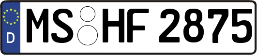MS-HF2875