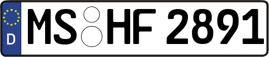 MS-HF2891