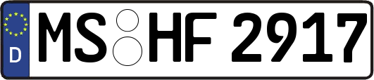 MS-HF2917