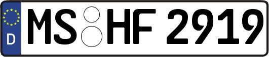 MS-HF2919