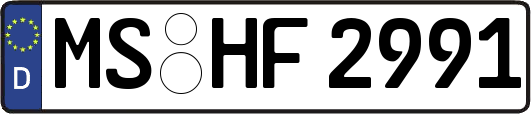 MS-HF2991