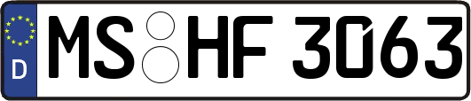 MS-HF3063