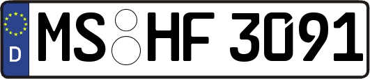 MS-HF3091
