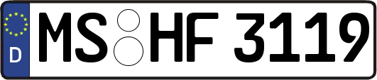 MS-HF3119