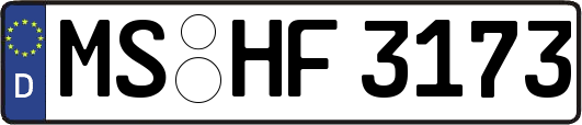 MS-HF3173