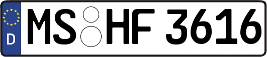 MS-HF3616