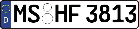 MS-HF3813
