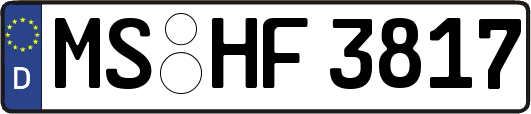 MS-HF3817