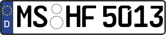 MS-HF5013