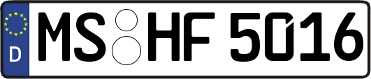 MS-HF5016