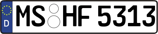 MS-HF5313