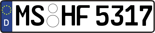 MS-HF5317