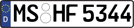MS-HF5344