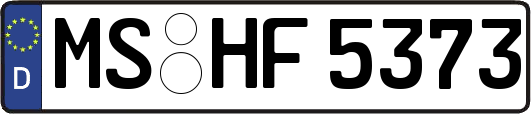 MS-HF5373