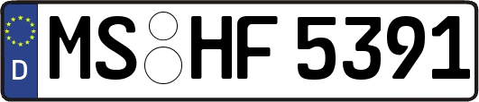 MS-HF5391