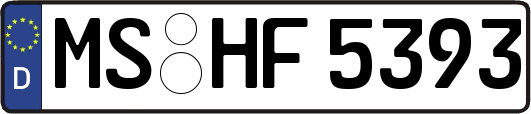 MS-HF5393