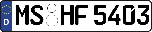 MS-HF5403