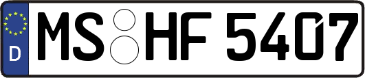 MS-HF5407