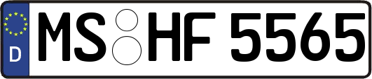 MS-HF5565