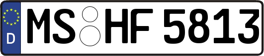 MS-HF5813