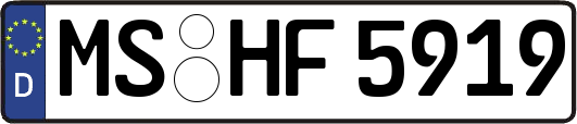 MS-HF5919