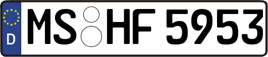 MS-HF5953