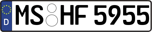 MS-HF5955