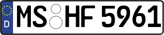 MS-HF5961