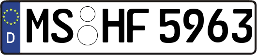 MS-HF5963