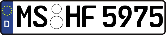 MS-HF5975