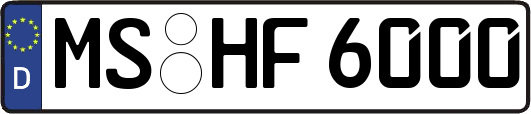 MS-HF6000