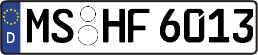 MS-HF6013