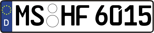 MS-HF6015