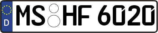 MS-HF6020