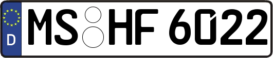 MS-HF6022
