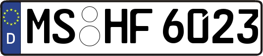 MS-HF6023