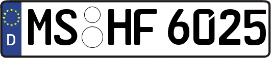 MS-HF6025