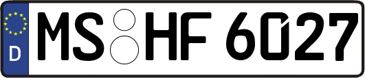 MS-HF6027