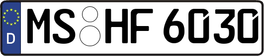 MS-HF6030