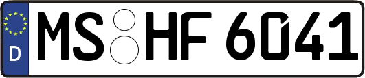MS-HF6041