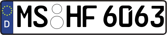 MS-HF6063