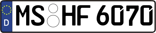 MS-HF6070