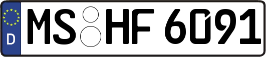 MS-HF6091