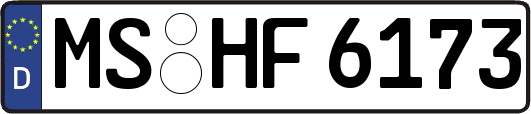 MS-HF6173