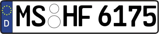 MS-HF6175
