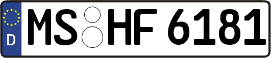 MS-HF6181