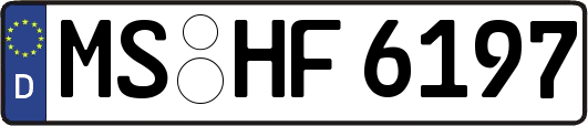 MS-HF6197