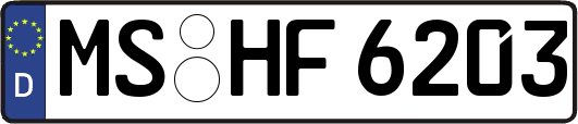 MS-HF6203
