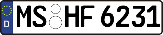 MS-HF6231